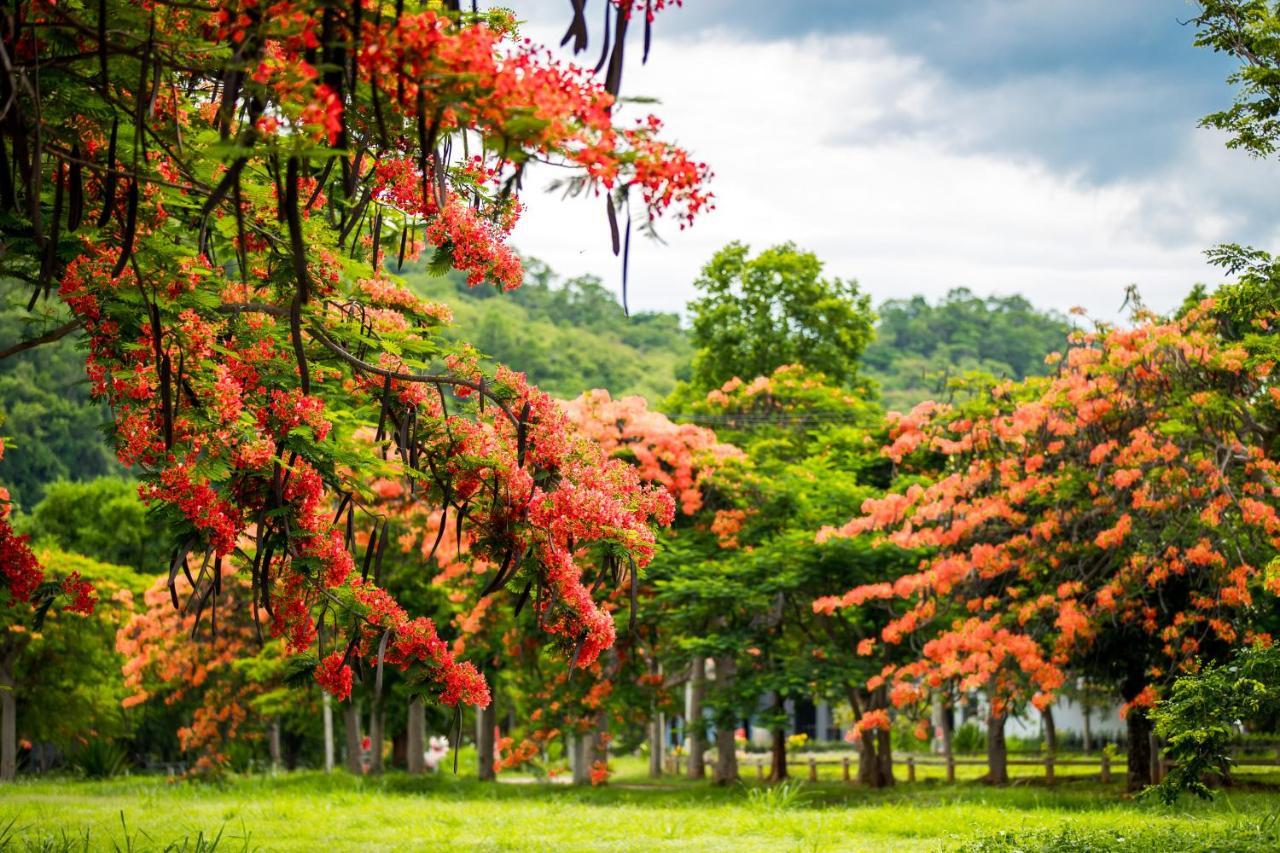 Diamond Hill Resort Nong Nam Daeng Εξωτερικό φωτογραφία